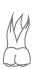 26